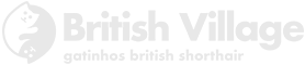 Logo British Village
